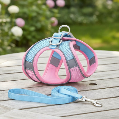 Harnais Chiot | Puppynette- couleur ROSE et BLEU