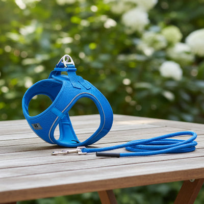 Harnais Chiot | TomSawyer-couleur BLEU SAPHIRE