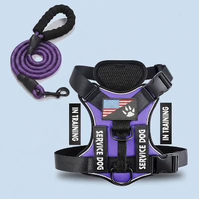 Harnais-chien | Confort Anti-Traction - couleur VIOLET