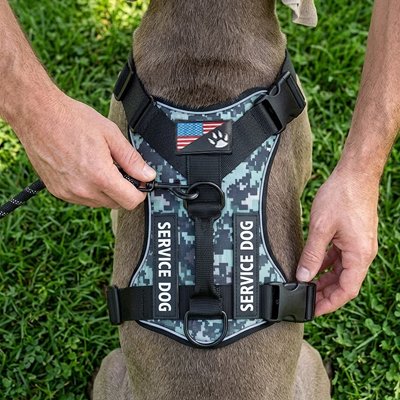 Harnais chien | Confort Anti-Traction -  Vert camo - Anneau dorsal