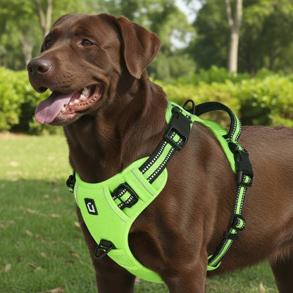 Harnais chien | Le Confort Mesh - Jamais sans mon chien