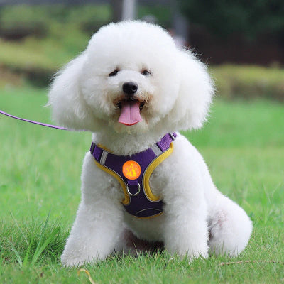Harnais pour Chien | Anti-Traction Douillet 2- Violet- Caniche