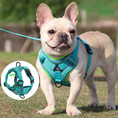 Harnais pour chien | Good Girl - Jamais sans mon chien