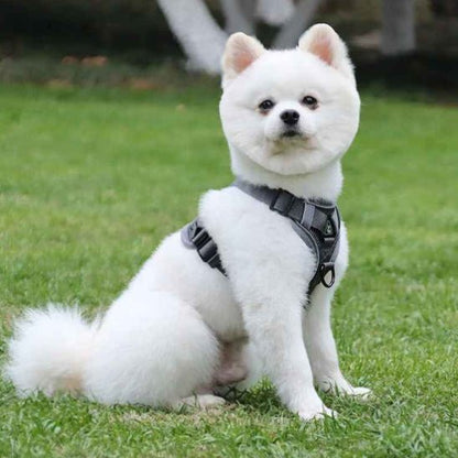 Harnais pour chien | Good Girl - Jamais sans mon chien