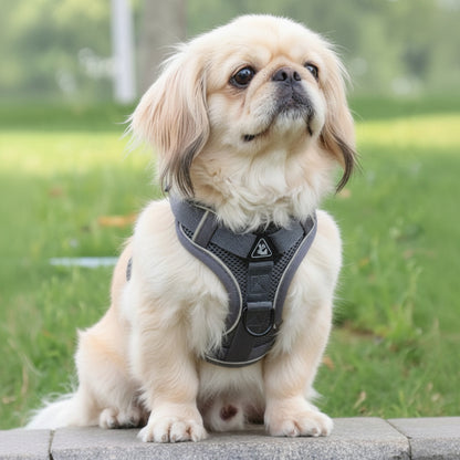 Harnais pour chien | Good Girl - Jamais sans mon chien