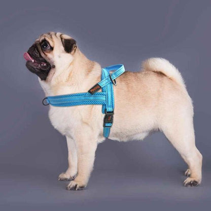 Harnais pour chien | Nylon en T - Jamais sans mon chien