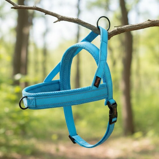 Harnais pour chien | Nylon en T - Jamais sans mon chien