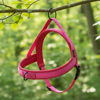 Harnais pour chien | Nylon en T - Jamais sans mon chien