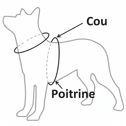 Harnais pour petit Chien | Bretelles - Jamais sans mon chien