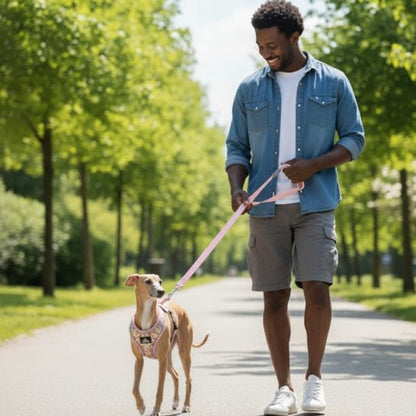 Harnais pour petit chien | Camisole - Jamais sans mon chien
