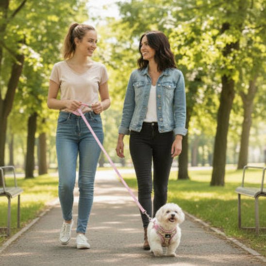 Harnais pour petit chien | Camisole - Jamais sans mon chien