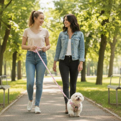 Harnais pour petit chien | Camisole - Jamais sans mon chien