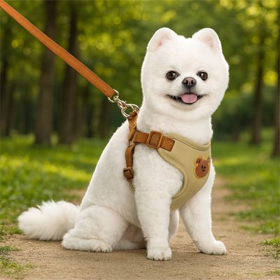 Harnais pour petit Chien | Ourson - Beige- petit chien blanc