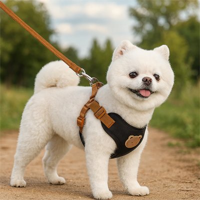 Harnais pour petit Chien | Ourson - Noir - petit chien blanc