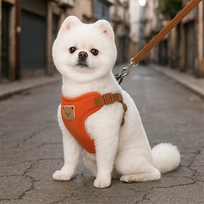 Harnais pour petit Chien | Ourson - Rouge - petit chien blanc
