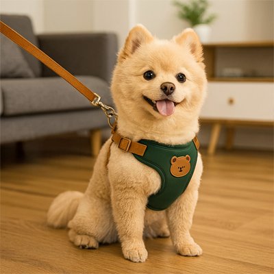 Harnais pour petit Chien | Ourson - Vert - petit chien beige