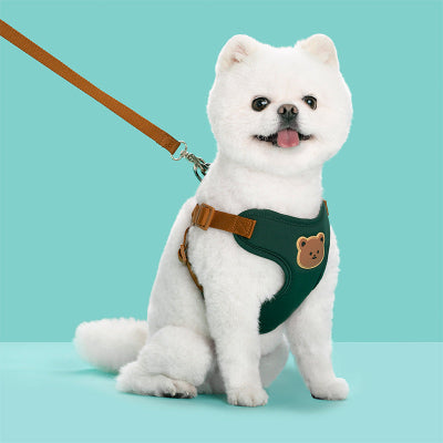 Harnais pour petit Chien | Ourson - couleur VERT