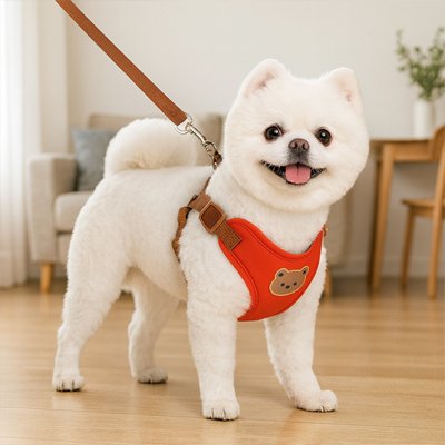 Harnais pour petit Chien | Ourson - Rouge 2- petit chien blanc