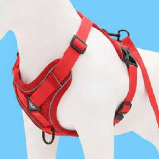 Harnais pour chien | My Good Boy - Jamais sans mon chien
