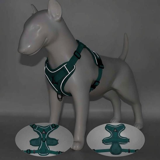 Harnais pour chien | My Good Boy - Jamais sans mon chien