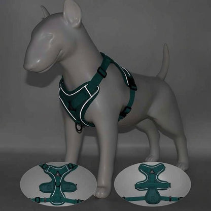 Harnais pour chien | My Good Boy - Jamais sans mon chien