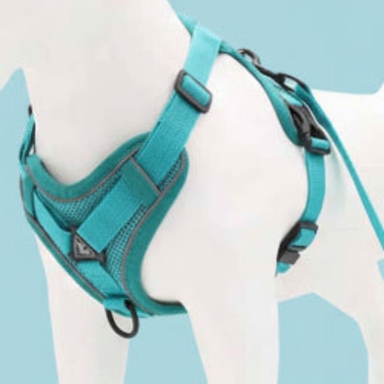 Harnais pour chien | Good Girl - Jamais sans mon chien