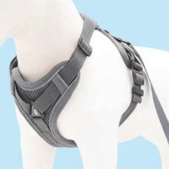 Harnais pour chien | Good Girl - Jamais sans mon chien