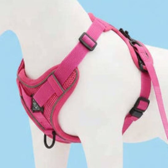Harnais pour chien | Good Girl - Jamais sans mon chien
