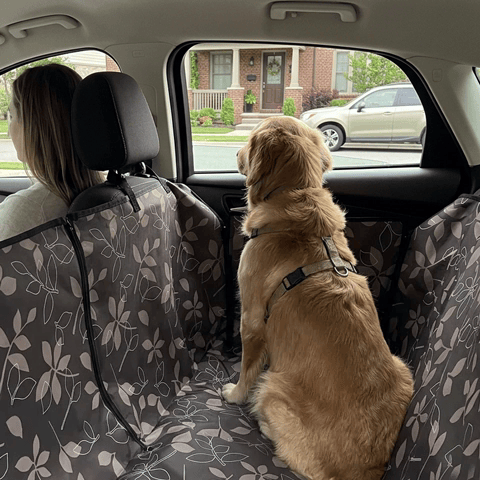 Housse voiture chien | Imperméable Agrippante