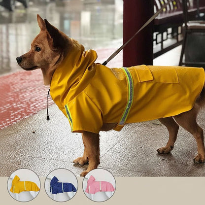 Imperméable pour chien | La Cape Fréhel - Jamais sans mon chien
