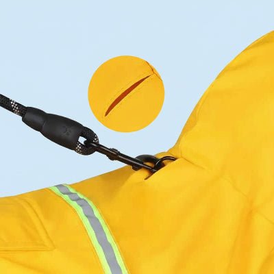 Imperméable pour chien | La Cape Soleil - Jamais sans mon chien