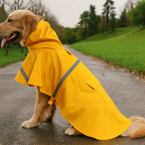 Imperméable pour chien​ | La Cape Soleil