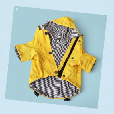 Imperméable pour chien | Popeye Le Marin - Jamais sans mon chien