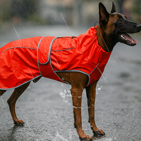 Imperméable pour chien | Centurion - Jamais sans mon chien