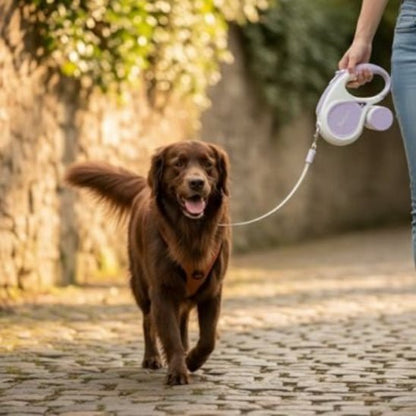 Laisse chien enrouleur | AutoFreedom - Jamais sans mon chien