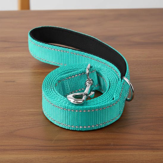 Laisse pour Chien | Bright Light - Jamais sans mon chien