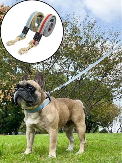 Laisse pour Chien | Ceinture de Toile - Jamais sans mon chien