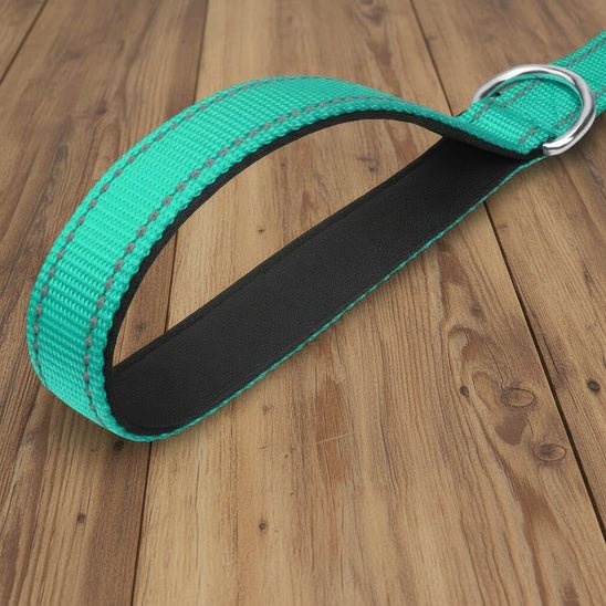 Laisse pour Chien | Bright Light - Jamais sans mon chien