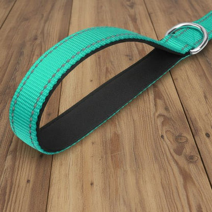 Laisse pour Chien | Bright Light - Jamais sans mon chien