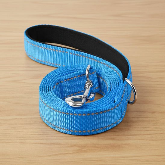 Laisse pour Chien | Bright Light - Jamais sans mon chien