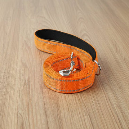 Laisse pour Chien | Bright Light - Jamais sans mon chien