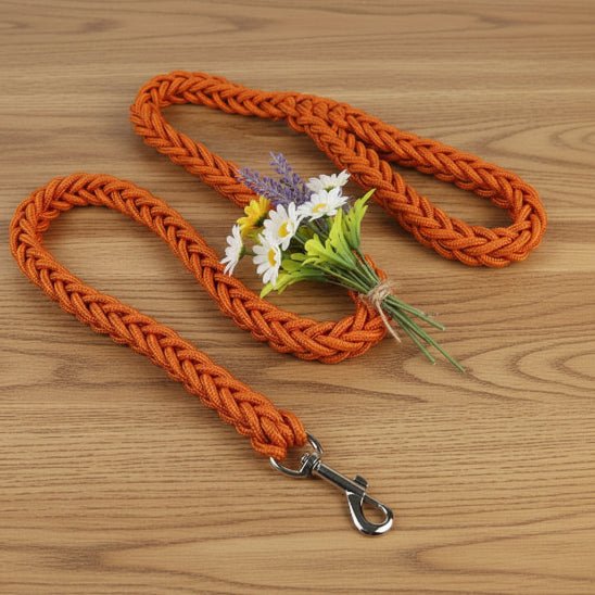 Laisse pour Chien | Tresse - Jamais sans mon chien