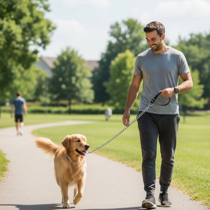 Laisse pour chien | Le Maillon - Jamais sans mon chien