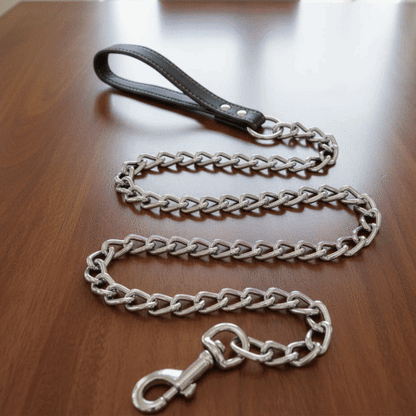 Laisse pour chien | Le Maillon