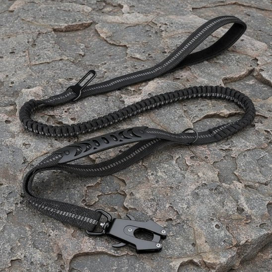 Laisse pour chien | Slinky Slinky - Jamais sans mon chien