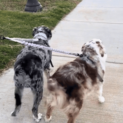 Laisse double pour chien | Twins - Jamais sans mon chien