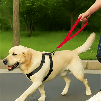 Laisse pour Chien | Côte à Côte - Jamais sans mon chien