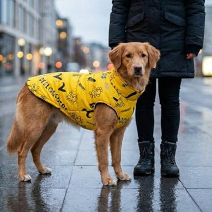 Manteau chien | Blanket - Jamais sans mon chien