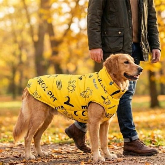 Manteau chien | Blanket - Jamais sans mon chien