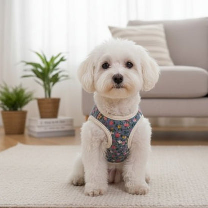 Manteau Chien | Le Petit Frileux - Jamais sans mon chien